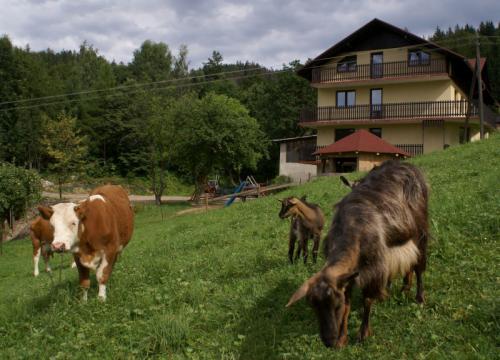 wisla-agroturystyka-stryczkow-11-800.jpg