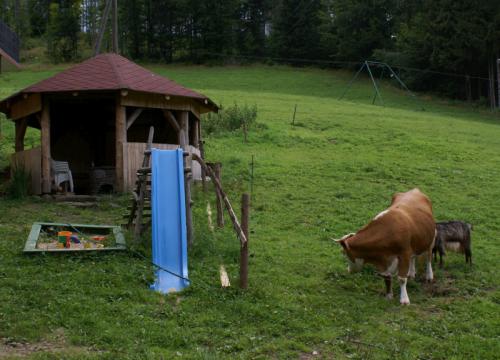wisla-atrakcje-stryczkow-1-800.jpg
