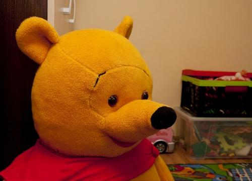 IMGP7318_1-600.jpg